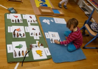 Montessori Natur Kultur