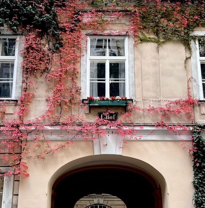 „EIN TAG FÜR UNS“